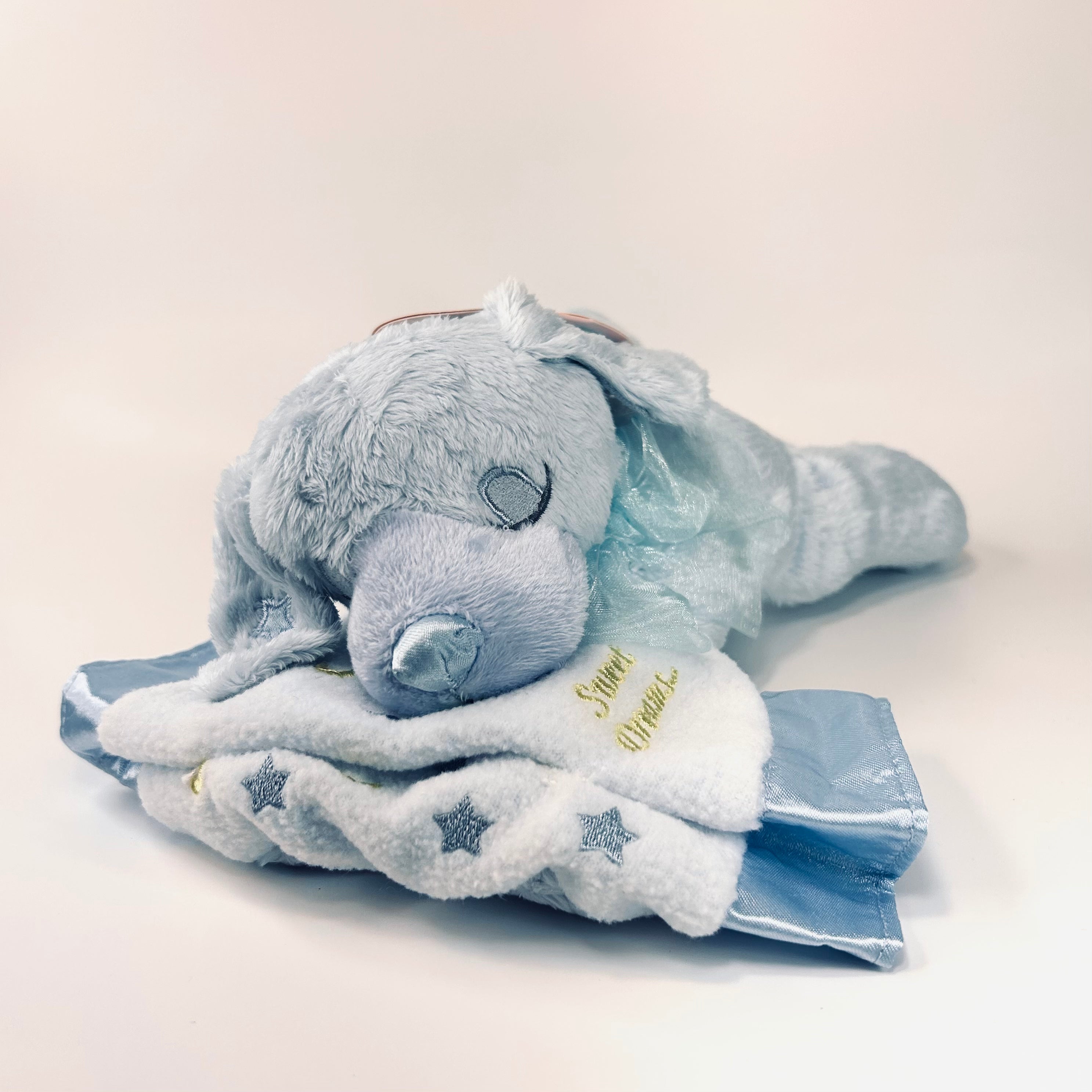 Sleepy Puppy Musical Plush - Blue