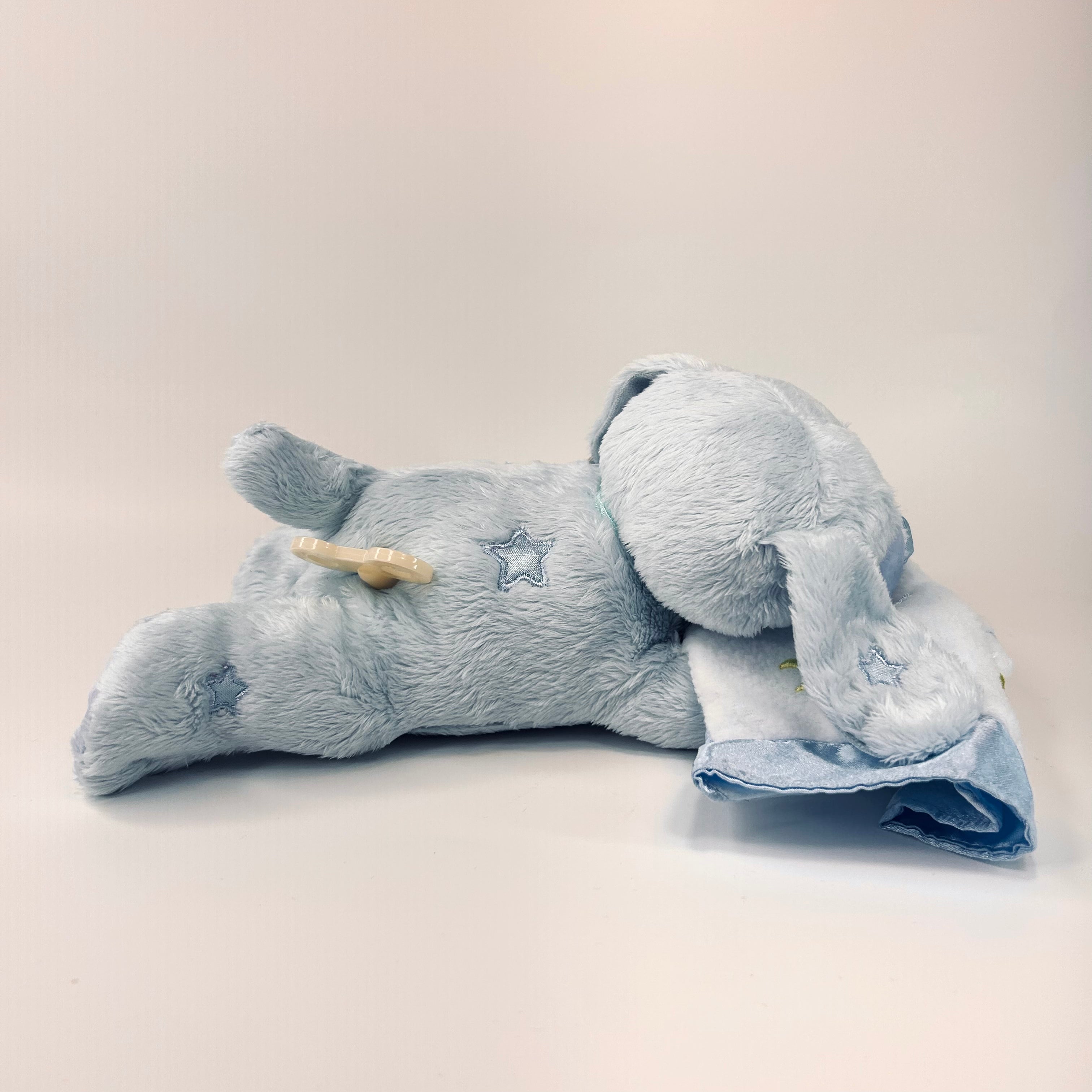 Sleepy Puppy Musical Plush - Blue